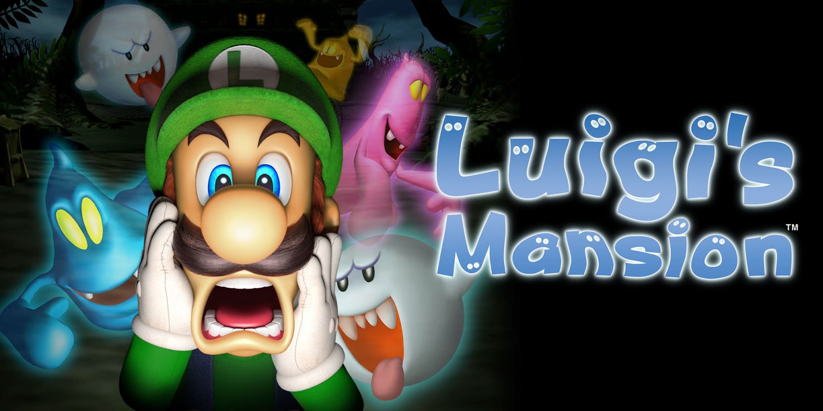 Luigi's top Mansion for Nintendo 3DS